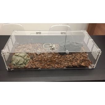 Terrário para Insetos, Aranhas e Escorpiões  60 x 30  x 15 cm.